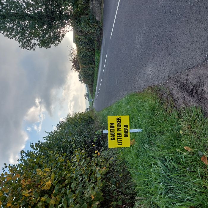Litter picking in Newcastle Ward